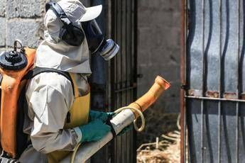 Dengue, un caso nel Comune di Colle Val d’Elsa nel Senese: scatta la disinfestazione