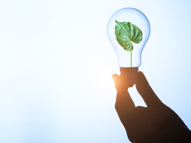 Bonus energia imprese 2023: cos’è e come ottenerlo