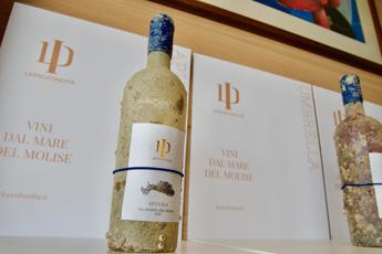 svelati i primi 4 vini subacquei prodotti in molise da leprofondita 2