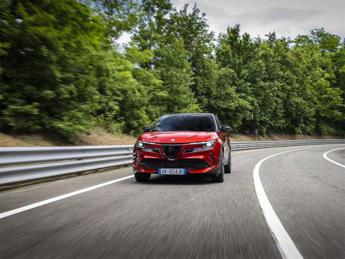 alfa romeo un 2024 di consolidamento sul mercato italiano 2