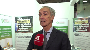 alimenti tapella un olio palma sostenibile importante far conoscere lolio sostenibile certificato e sicuro 2