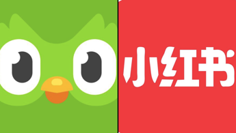 esodo da tiktok a rednote e tutti studiano cinese su duolingo 2