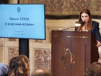 ricerca schifone su materie stem preoccupa divario tra domanda e offerta 2