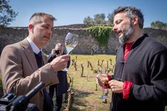 arriva larcheo vino tra i ruderi di pompei alleanza tra viticoltura e storia 2