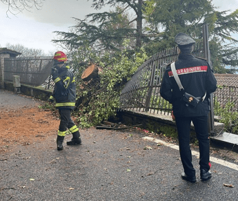 maltempo roma albero cade a rocca di papa niente feriti ma danni a auto 2