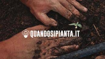 quando si pianta la rivoluzione dellinformazione green made in italy di tullio fiore 2