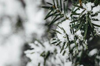 temperature giu di 10 gradi colpo di coda dellinverno sullitalia 2