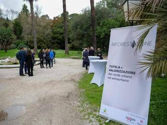 tutela del verde in 13 citta metropolitane mase lancia riforestazione 2