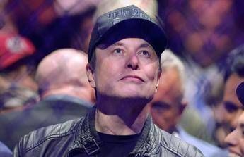 “Elon Musk pronto a lasciare il team di Trump”, cosa dice il Washington Post