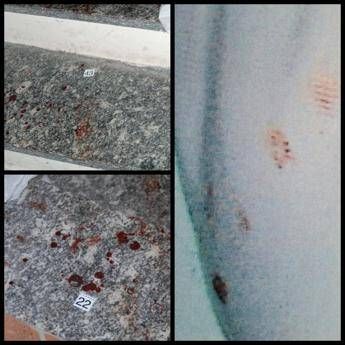 Garlasco, la dinamica dell’omicidio di Chiara Poggi: “Assassino non scende le scale e ha le mani insanguinate”