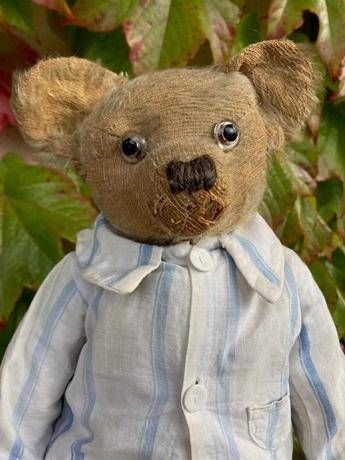 “A Teddy Bear serve un nuovo look”. L’appello della scienza per peluche eco-maestri