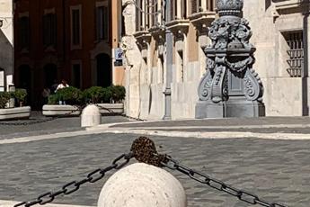 Sciame d’api a Montecitorio, transennato pilone all’ingresso