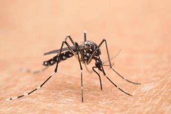 West Nile, 75enne ricoverato a Brescia in condizioni critiche