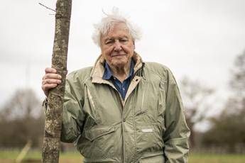 David Attenborough da record, a 99 anni vince il Daytime Emmy Award