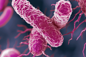 Farmaci, dall’Italia un anticorpo contro il superbatterio Klebsiella pneumoniae