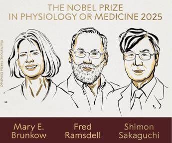 Nobel per la Medicina a Brunkow, Ramsdell e Sakaguchi: hanno scoperto la ‘security’ del sistema immunitario