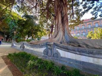 a napoli rinasce il giardino romantico di palazzo reale 2