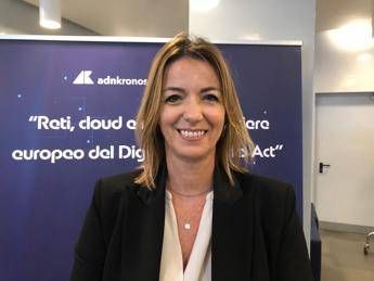 digitale pizzi anitec assinform dna semplifichi norme e non le appesantisca 2