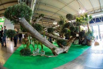 myplantgarden x edizione dal 18 al 20 febbraio 2026 a fiera milano rho 2