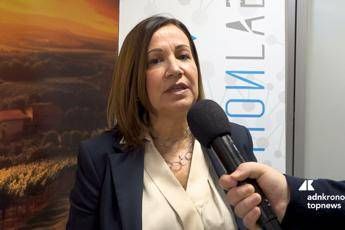 imprese tiloca camcom sassari camera del futuro portale modellato per aziende del nord sardegna 2