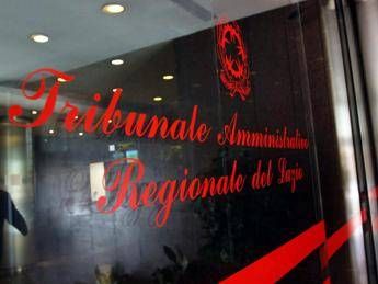 Referendum giustizia, Tar Lazio respinge ricorso: confermata data 22-23 marzo
