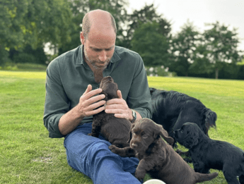 William e Kate condividono l’amore di Elisabetta II per i cani, James Middleton spiega perché