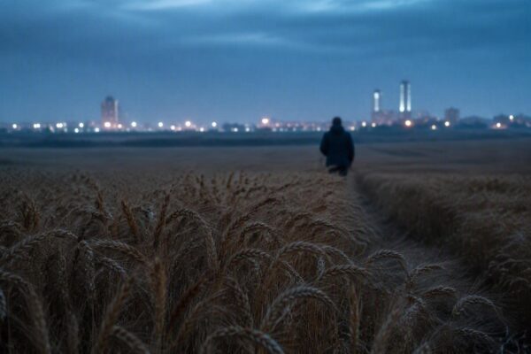 Bilancio occupazionale 2026: l'agricoltura spinge l'occupazione in Veneto
