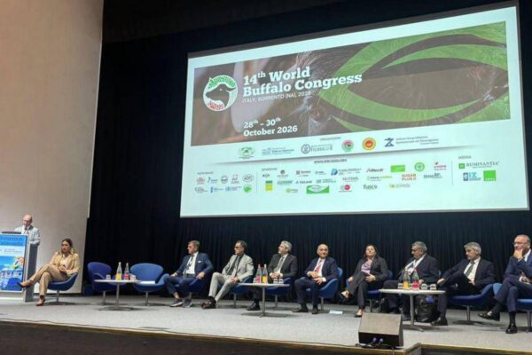 Mozzarella Dop e AI, dal World buffalo congress la road map per il futuro