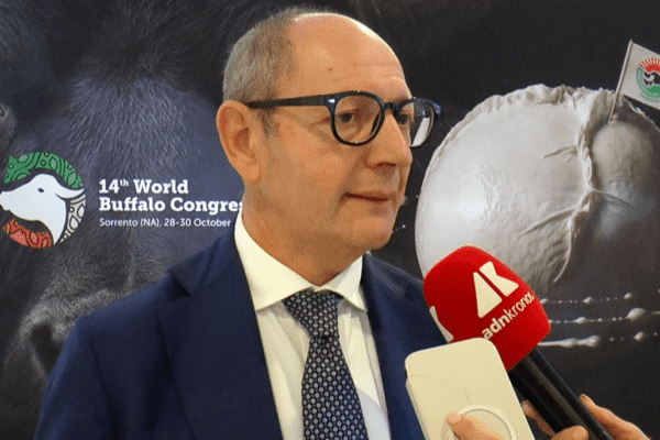 Raimondo (Tutela mozzarella bufala campana Dop): “Filiera 1,2-1,3 mld, quasi una Fiat”