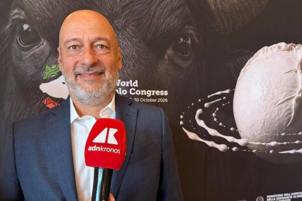 Saccani (Consorzio Mozzarella Bufala Campana Dop): “Per esportare di più serve innovazione”