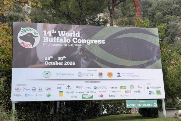 ‘World Buffalo Congress’ road map per futuro con meno burocrazia e più innovazione