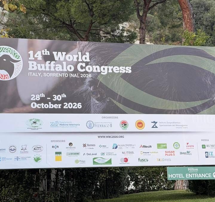 ‘World Buffalo Congress’ road map per futuro con meno burocrazia e più innovazione