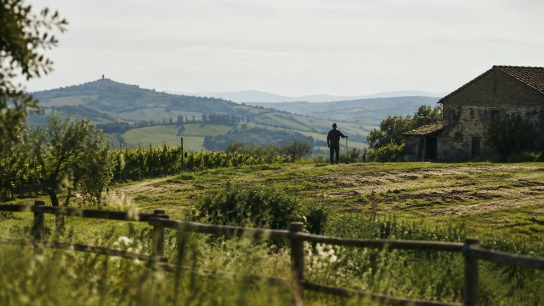 Agricoltura sociale, fondazioni investono 370mila euro in 13 iniziative