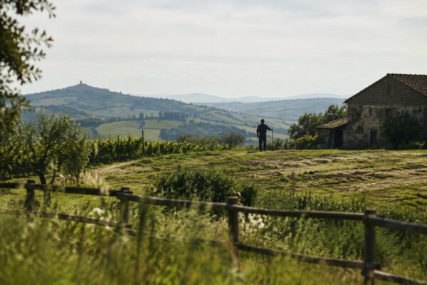 Agricoltura sociale, fondazioni investono 370mila euro in 13 iniziative
