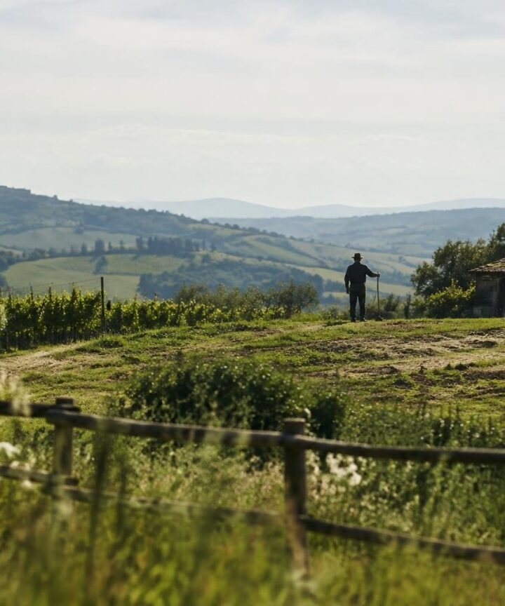 Agricoltura sociale, fondazioni investono 370mila euro in 13 iniziative