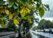 Iniziativa PratoLovePedibus per la mobilità scolastica sostenibile