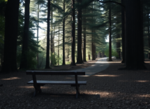 isolarsi nei momenti difficili quando e utile e quando diventa una trappola 1745522563