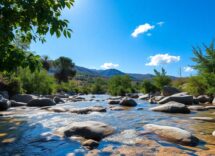 domande frequenti sulla salute e il benessere risposte utili e pratiche 1770668930