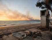 Codacons denuncia: i problemi che affliggono la Sicilia tra carburanti, spiagge e incendi