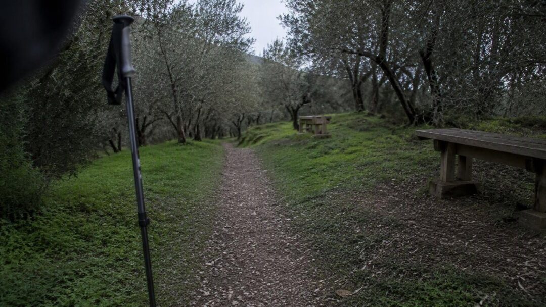 Camminata LILT a Legnano: Nordic Walking e prevenzione nel Parco Alto Milanese