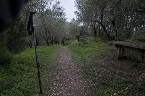 Camminata LILT a Legnano: Nordic Walking e prevenzione nel Parco Alto Milanese