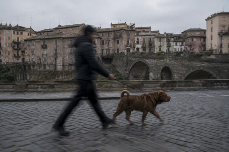 Aggredito da cani: dog sitter verso intervento chirurgico a Tor Vergata