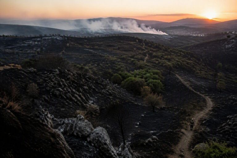 Fuoco incontrollato nell’hinterland tiburtino: emergenza domata dopo ore di lavoro