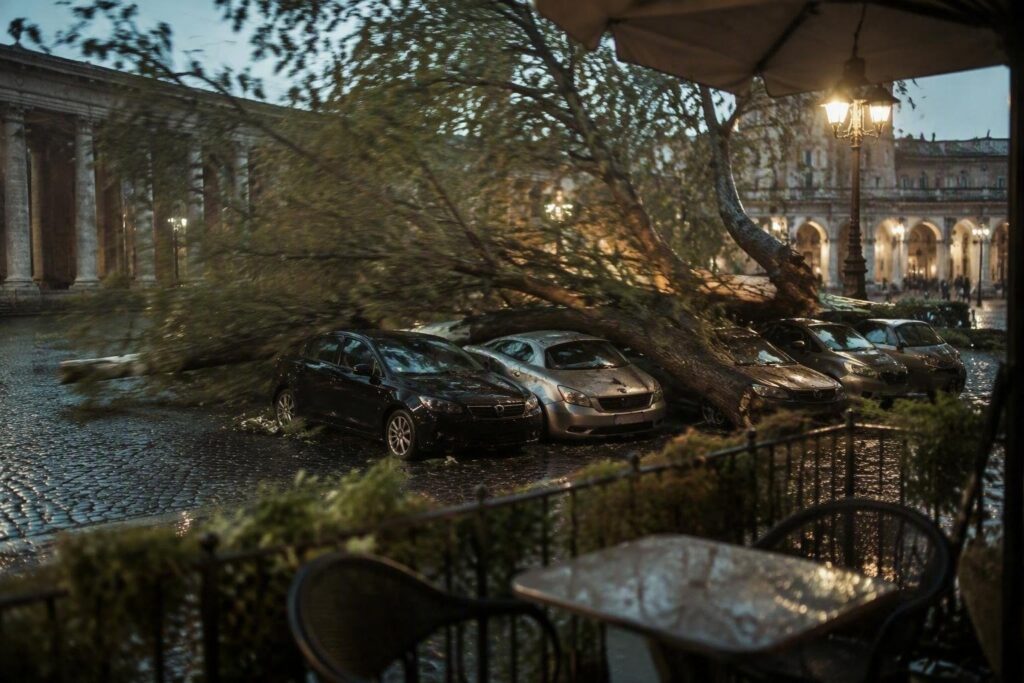 Albero cade su auto a Roma: disagi e danni in piazza Dante