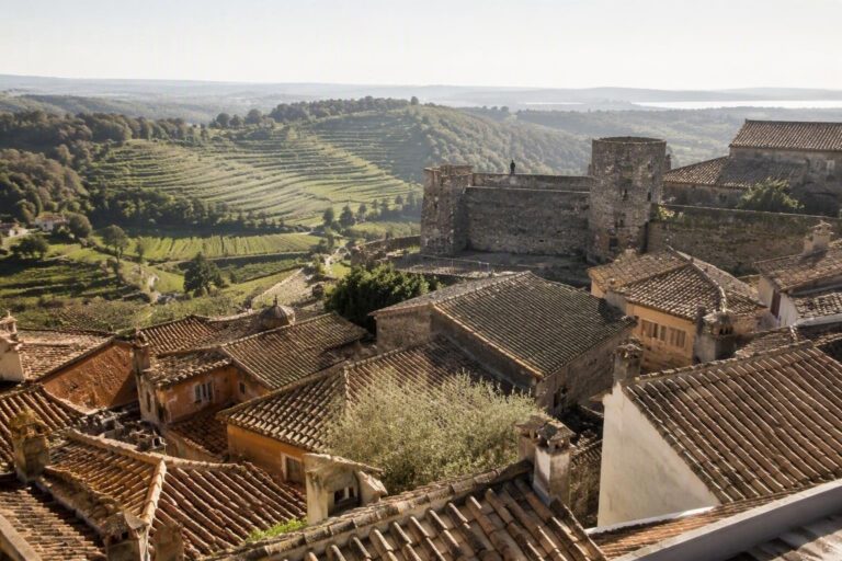 Città del vino del Lazio si incontrano a Nemi per pianificare il futuro