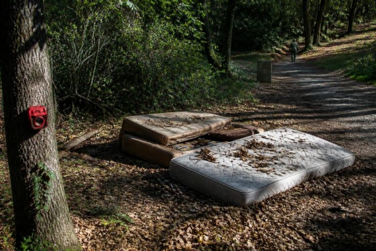 Divani e materassi rimossi a Rocca Priora: intervento dei Guardiaparco