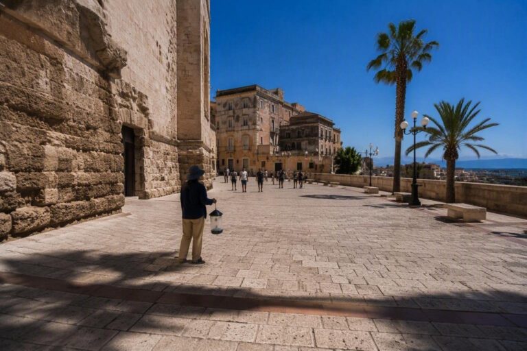Febbre del Nilo in Sardegna: monitoraggio e prevenzione attiva