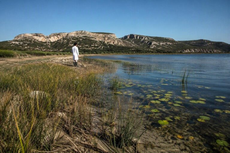 Febbre West Nile in Sardegna: allarme e prevenzione dopo i casi nell’Oristanese