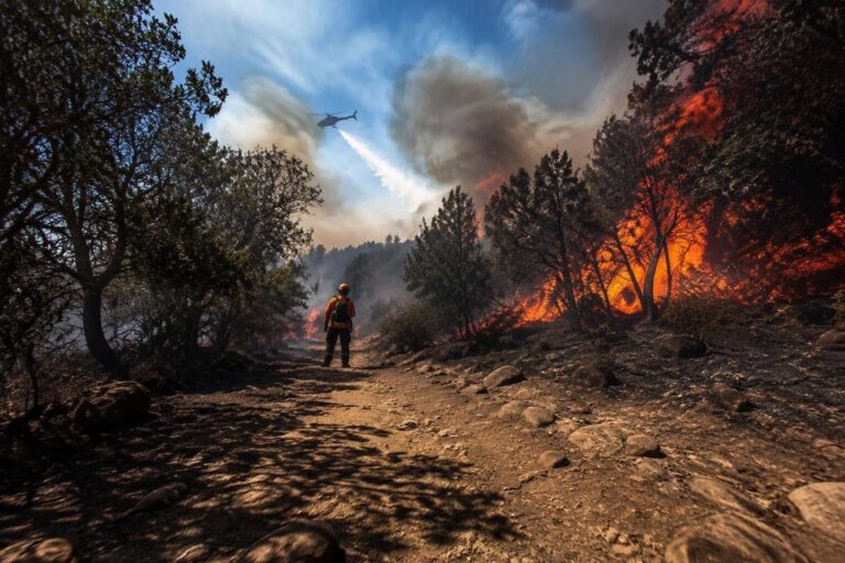 Fiamme in Sardegna: interventi del Corpo forestale a Orune e Pozzomaggiore