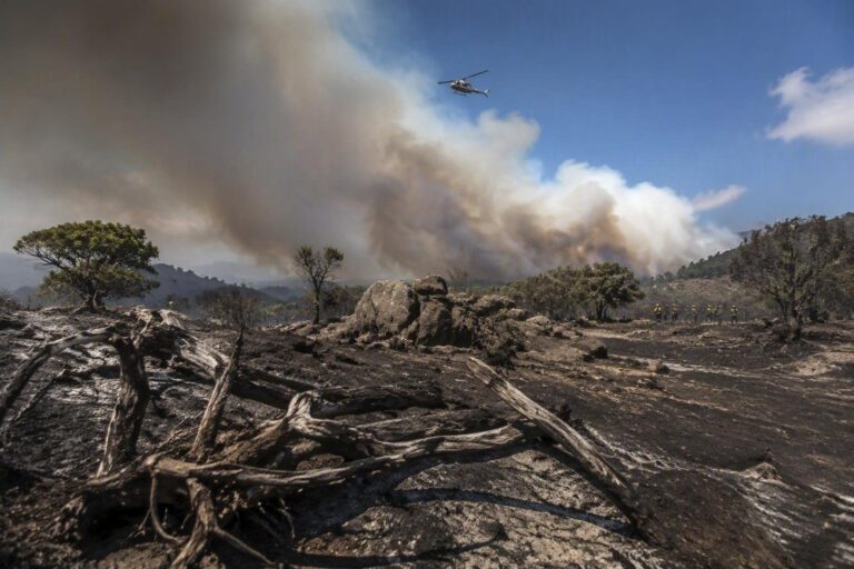 Incendio a Trinità d’Agultu: operazioni di spegnimento in corso